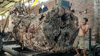 USA \u0026 AUSTRALIA SHOCKED! Massive Redwood Exposes Its Stunning Core When Cut