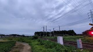 E531系編成番号不明2768M水戸線直通小山行踏切通過