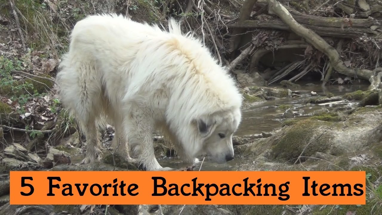 My 5 Favorite Backpacking Items