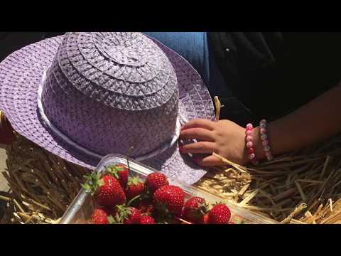 بكرم اللولو فيروز 