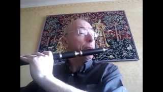 Miniatura de vídeo de "Kilmaley reel - flûte M&E"