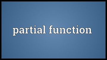 Partial function Meaning