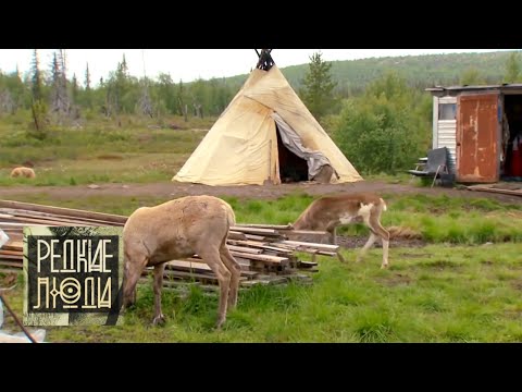 История саамов | Редкие люди 🌏 Моя Планета