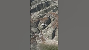 How fossils are formed