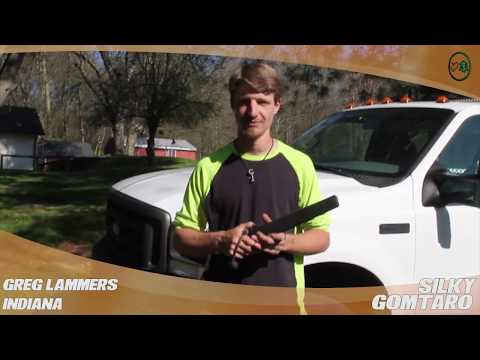 Silky Gomtaro -