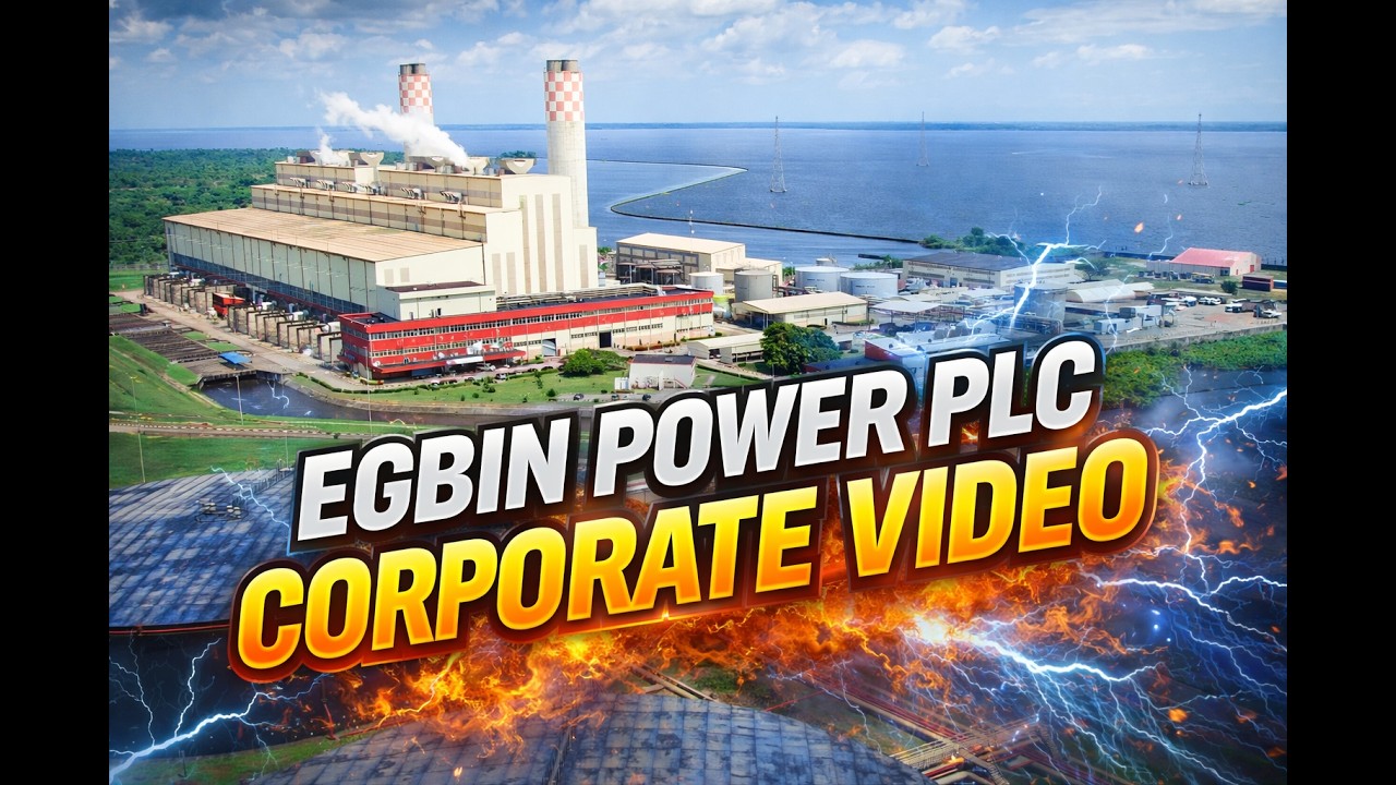 hawaiian ti plant Hawaiian TI Plant – Plant It Tampa Bay main image 1