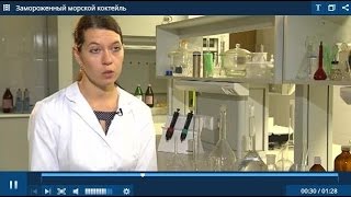 Как выбрать морской коктейль Как выбрать морской коктейль