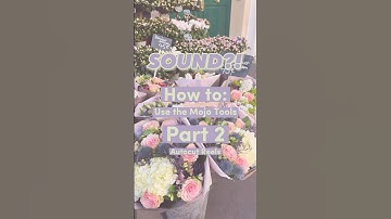 How to use our Autocut reels! #mojo #tutorial #autocut