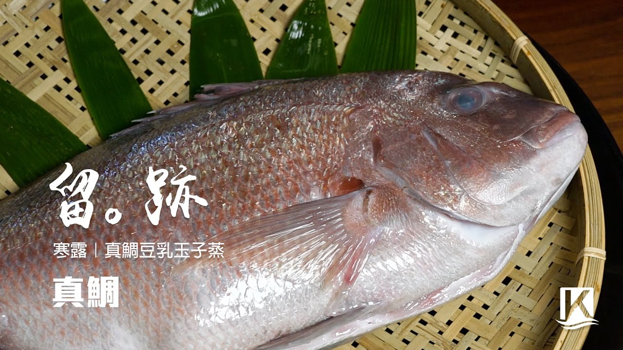 留 跡 Ep2 寒露 真鯛迦納真鯛豆乳玉子蒸 Youtube