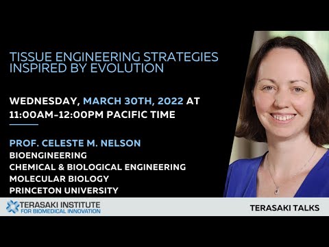 Tissue Engineering Strategies Inspired by Evolution - Terasaki Talk