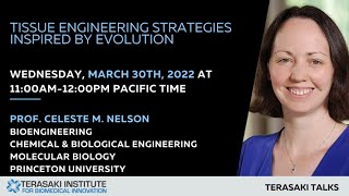 Tissue Engineering Strategies Inspired by Evolution - Terasaki Talk