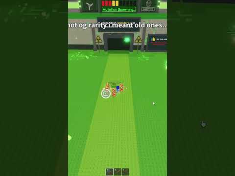 سامي أنتج 3 كتل لاكي من لوس تاكو