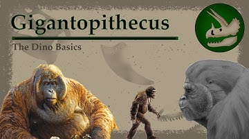 Gigantopithecus | The Greatest Ape of All Time | Dino Basics