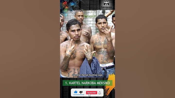 GENG PALING BERBAHAYA DI DUNIA. ADA KARTEL, MAFIA, DAN YAKUZA!