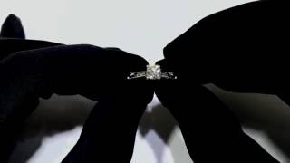 Unboxing A Cushion Brellia An Engraving Ring Design