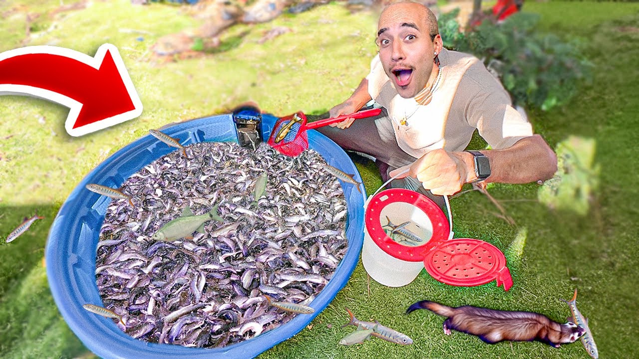 CRIANDO FAZENDA de PEIXES para PESCAR e ALIMENTAR *piscicultura*