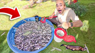 CRIANDO FAZENDA de PEIXES para PESCAR e ALIMENTAR *piscicultura*