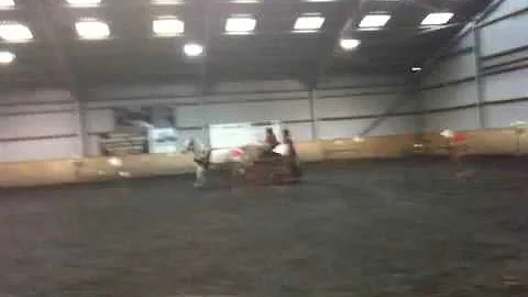 Janet Reeves Obstacles Indoor Carriage Driving