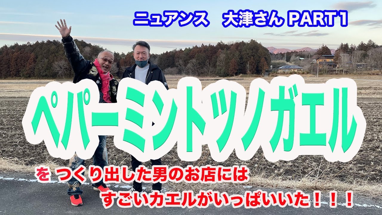 だっくす小峰ちゃんねる  茨城ニュアンス 1    ペパーミントツノガエルをつくり出した男のお店にはすごいカエルがいっぱいいた！！！