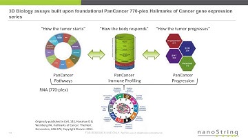 Simultaneous multi-analyte profiling of rare antigen specific T cells with 3D Flow™ Analysis