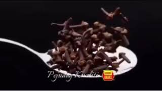 Iklan BABAS 2017 - Hael Husaini