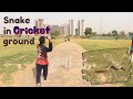 Cricket ground mai nikla saanp  opponent ne player ghayal  dekhiye kya result raha match ka yaha