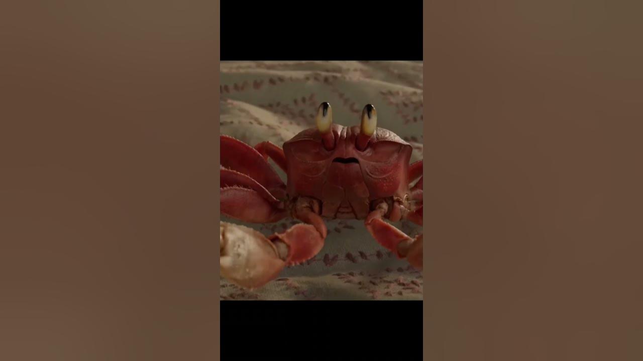 The Scuttlebutt (The Little Mermaid) YouTube