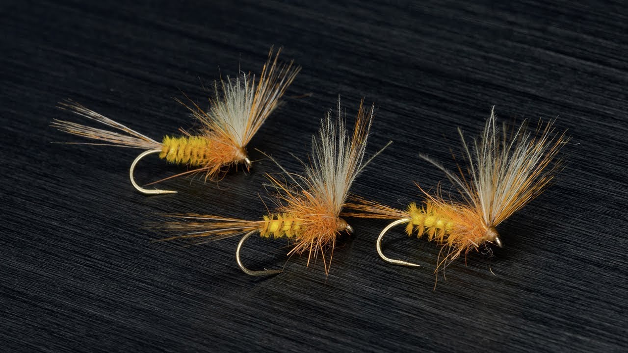 Lot De Pêche à La Mouche Orvis - étui, Livre De Nœuds 2008, Guide De Pêche Doré 1987