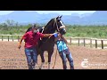 Semifinal #2 Derby “El Mejor del Norte”. R8 Vs. Mentira Vs. Mosco Vs. Coco. Satevo Racetrack, CHIH.