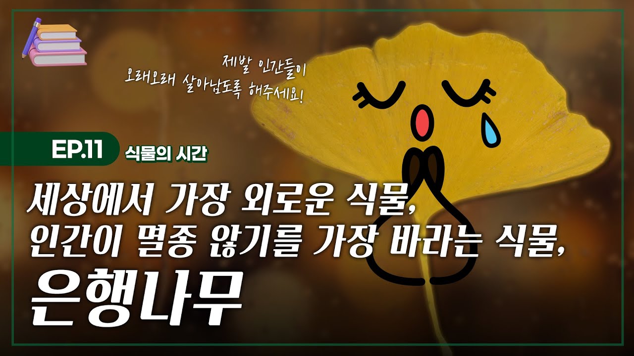 [술술과학] 살아있는 식물계의 공룡, 은행나무식물🦖🍂_ EP.11 (식물의 시간#6)