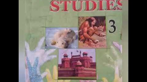 class 3 social studies chapter 5(part-2)