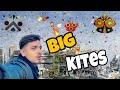 Catching other kites from Roftop 😂 || Today is very 😍 Good Luck 😉 ||