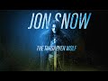 Jon Snow | The targaryan wolf
