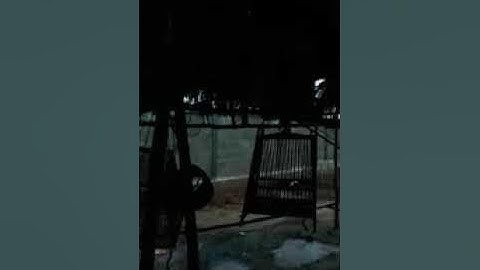 Mloog qaib qua thaum sawv ntxov coob2 tus qua