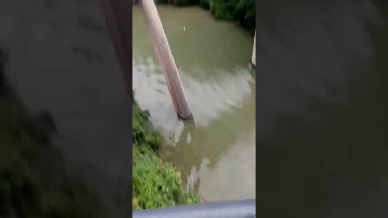 bungee jumping丨Extreme sports #Bungee jumping #beauty