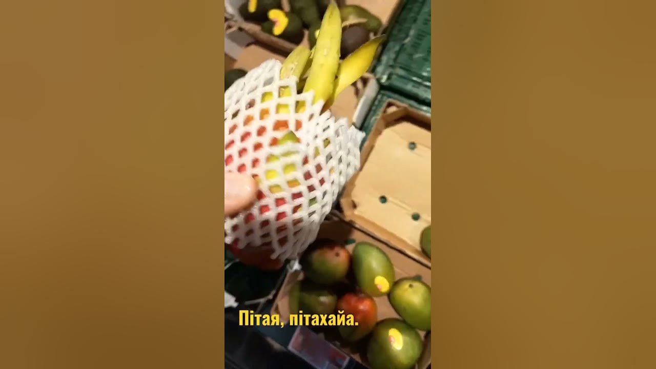 Пітая, пітахайа. - YouTube