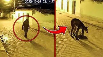 全球網路流傳最廣的「禁忌影像」檔案：鏡頭捕捉到的恐怖瞬間，從監控拍到變形人到地鐵殭屍，你敢直視幾秒？【探索旅行號】