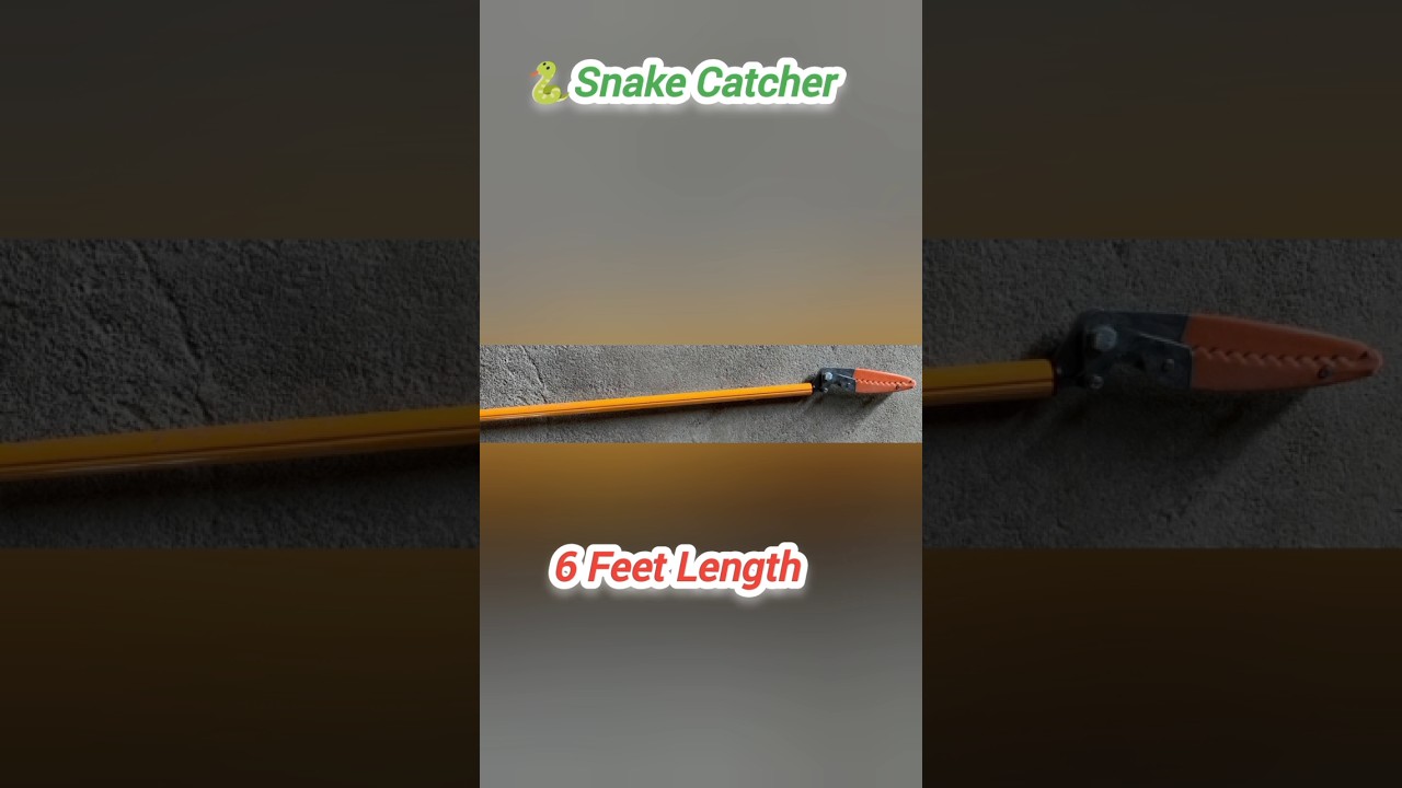 Snake Catcher 