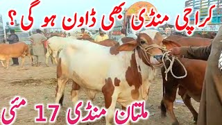Today Multan Cow Mandi Video Fresh Latest Update Qurbani 2026 || Global Village Farming 