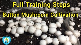 Bottom Mushroom Cultivation Training | Method To Grow White Button Mushroom | Global Agromarine