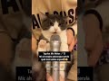 Tag that mic mohan cat singingcat singing in micrainbowcreationz shorts