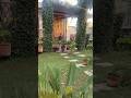 How to be chill 😎 #shortsfeed #nature #youtube #trendingshorts #viral #diwali #love #shorts #toys