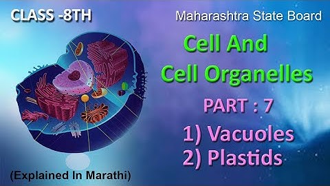 Cell And Cell Organelles | Part 7 | Class 8 | Maharashtra State Board