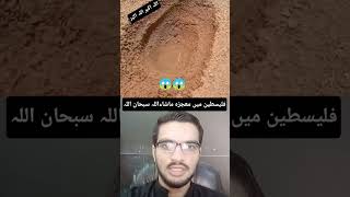 Miracle of Allah in Palestine | #islamicvideo #shorts