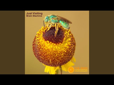 Ver Quantum Component en YouTube Ver Quantum Component en YouTube