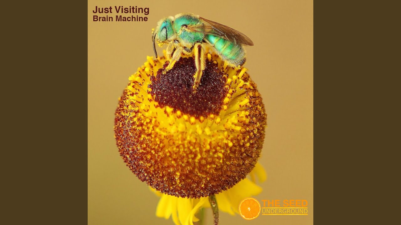 Guarda Quantum Component su YouTube Guarda Quantum Component su YouTube