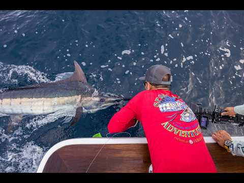 Florida Keys Fishing Tournaments - Florida Insider Fishing Report