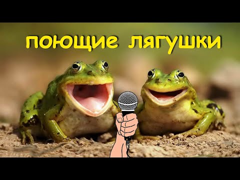 Видео: Лягушки мяукают, лают и кричат
