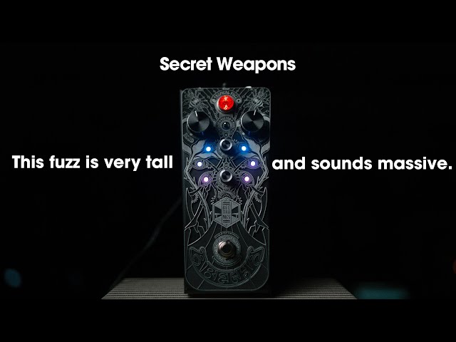 Beetronics ABELHA ファズ Abelha Tropical Fuzz – Beetronics