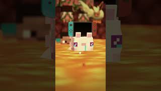 this is sad cat & Nintendo Switch in Nether ~ wha wha cat meme~